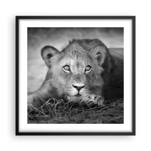 Plakát v černém rámu - Královské štěně - 50x50 cm