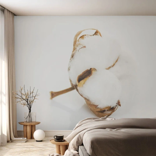 Fototapeta Standard Eco - Měkká od přírody - Bavlna, Minimalistický, Květ - 250x175 cm