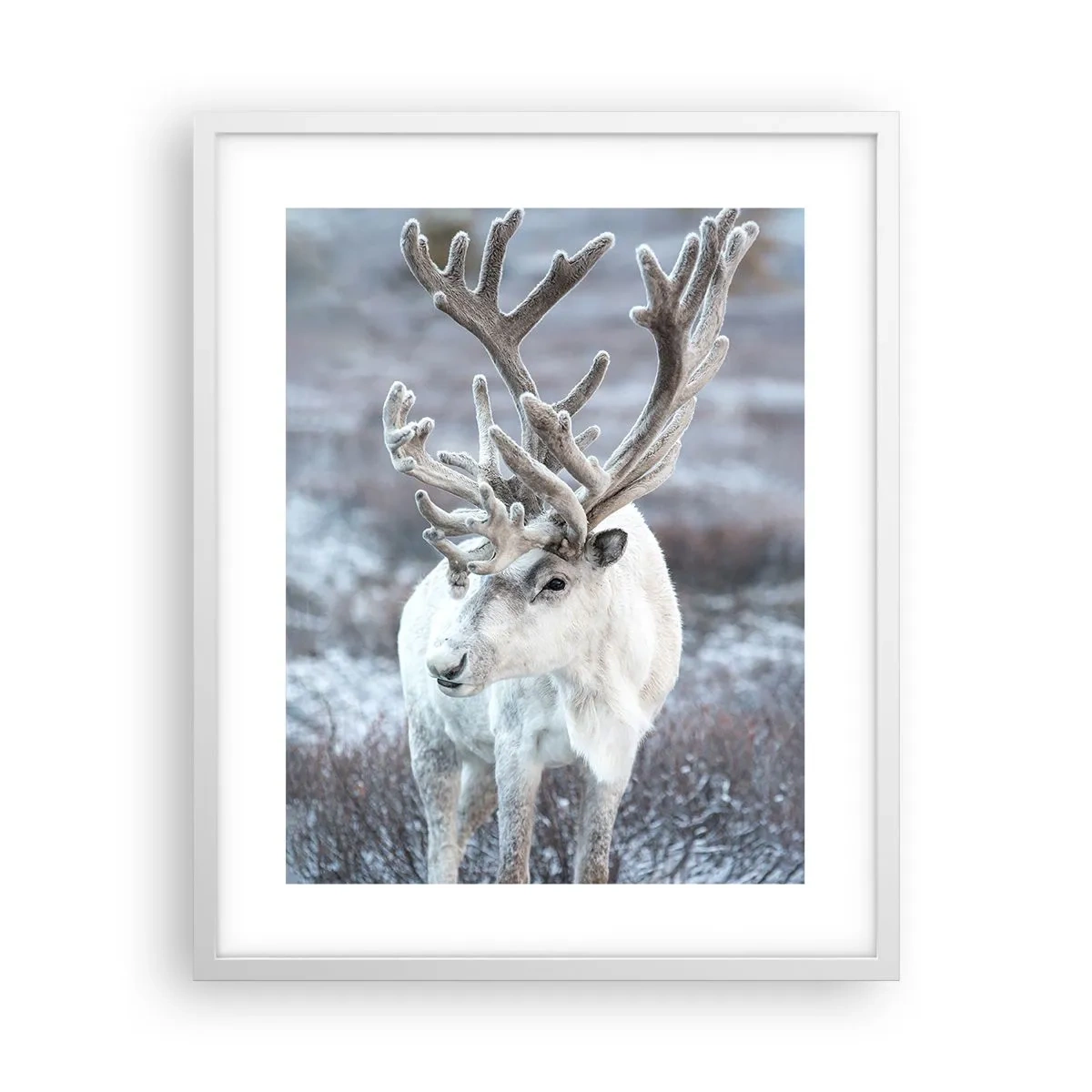 Plakát v bílém rámu - Sluneční portrét - 40x50 cm