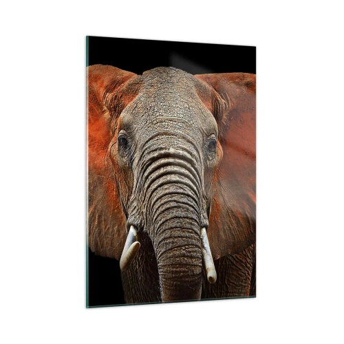 Obraz na skle - Jsem divoký, a ty? - 50x70 cm