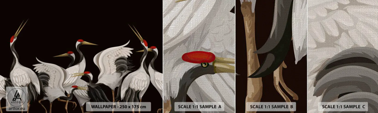 Vzor Fototapety Premium Canvas - Ptačí záležitosti - Jeřáby, Ptactvo, Kus - 100x30 cm