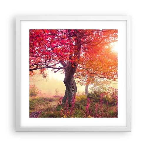 Plakát v bílém rámu - Šílenství rozkvětu - 40x40 cm