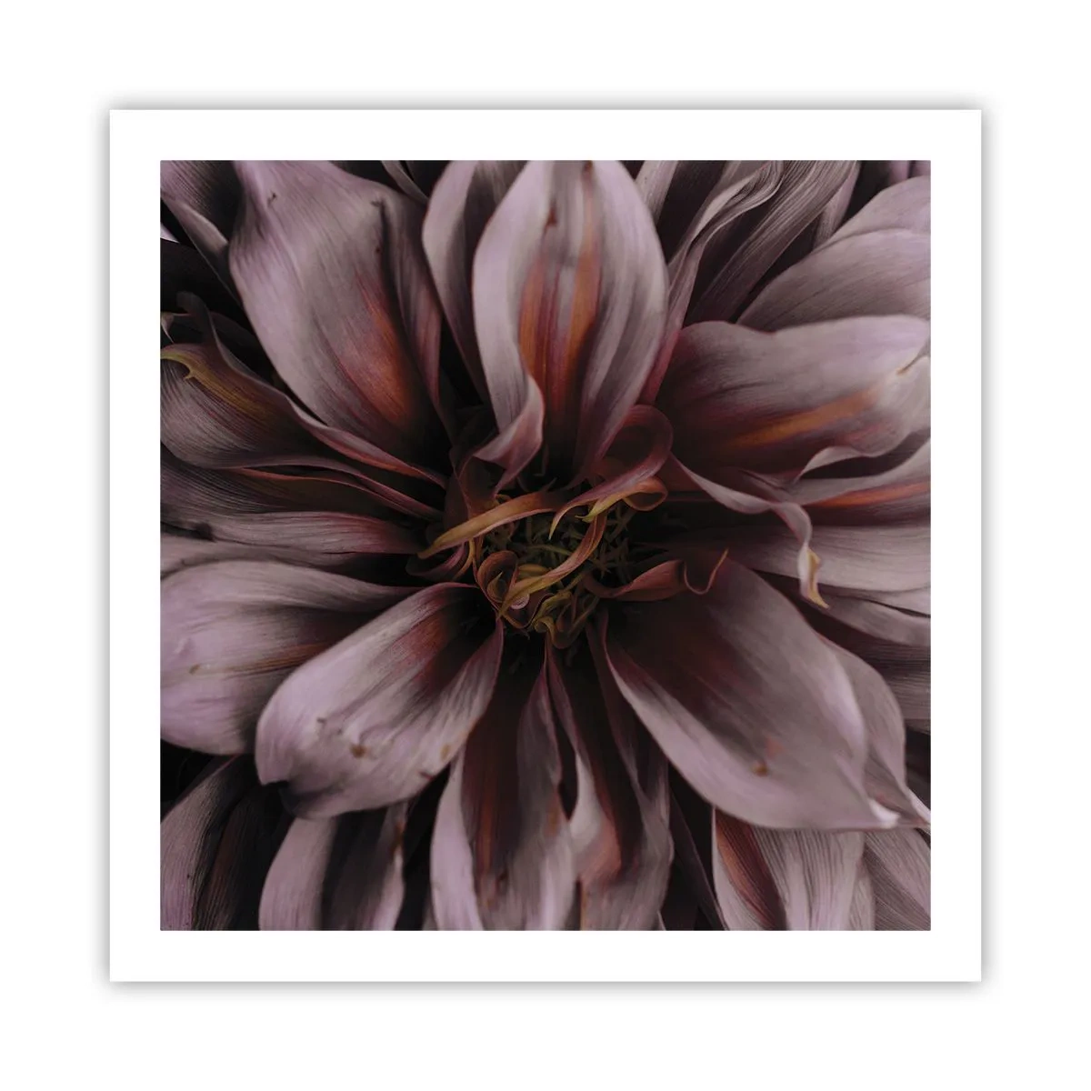 Plakát - Květinové srdce - 60x60 cm