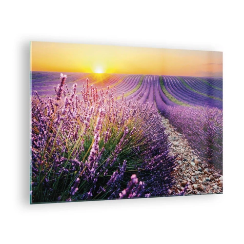 Obraz na skle - Levandulové pole při východu slunce s kamenitou cestou - 70x50cm - Voňavý lán - Moderní nástěnná dekorace do obývacího pokoje a ložnice ARTTOR
