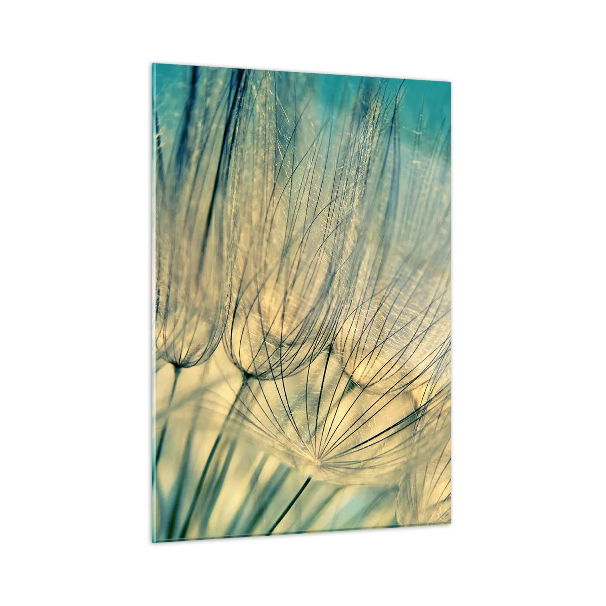 Obraz na skle - Čekání na vítr - 50x70 cm