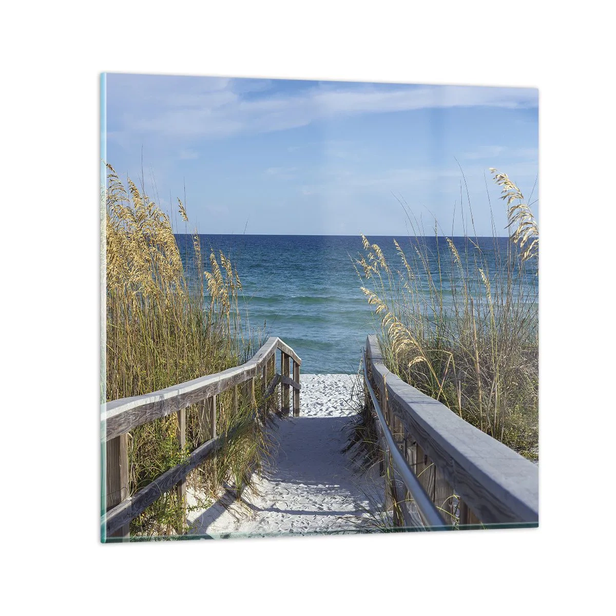 Obraz na skle - Na slunci, ve větru - 40x40 cm