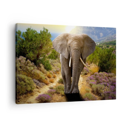 Obraz na plátně - Africký slon proti savany a horské krajině - 70x50cm - Tak vypadal Ráj - Moderní nástěnná dekorace do obývacího pokoje a ložnice ARTTOR