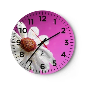 Nástěnné hodiny - Skromný ve své kráse - 40x40 cm