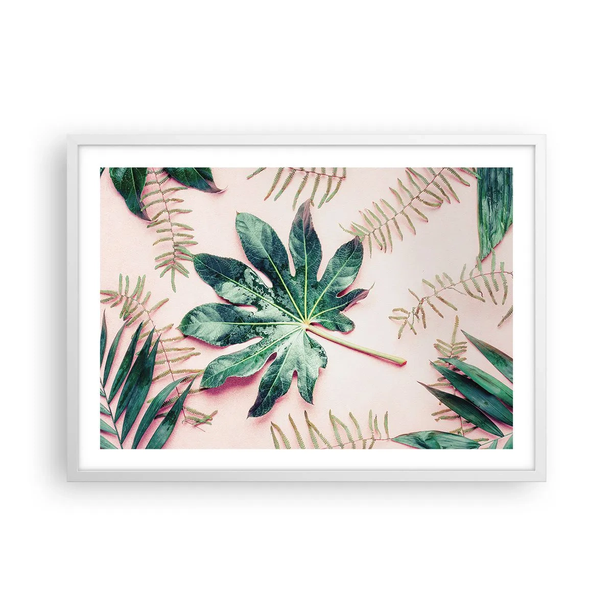 Plakát v bílém rámu - Studie zelené na růžovém pozadí - 70x50 cm