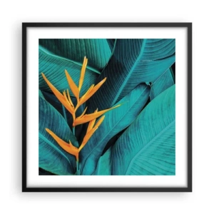 Plakát v černém rámu - Rajský květ - 50x50 cm