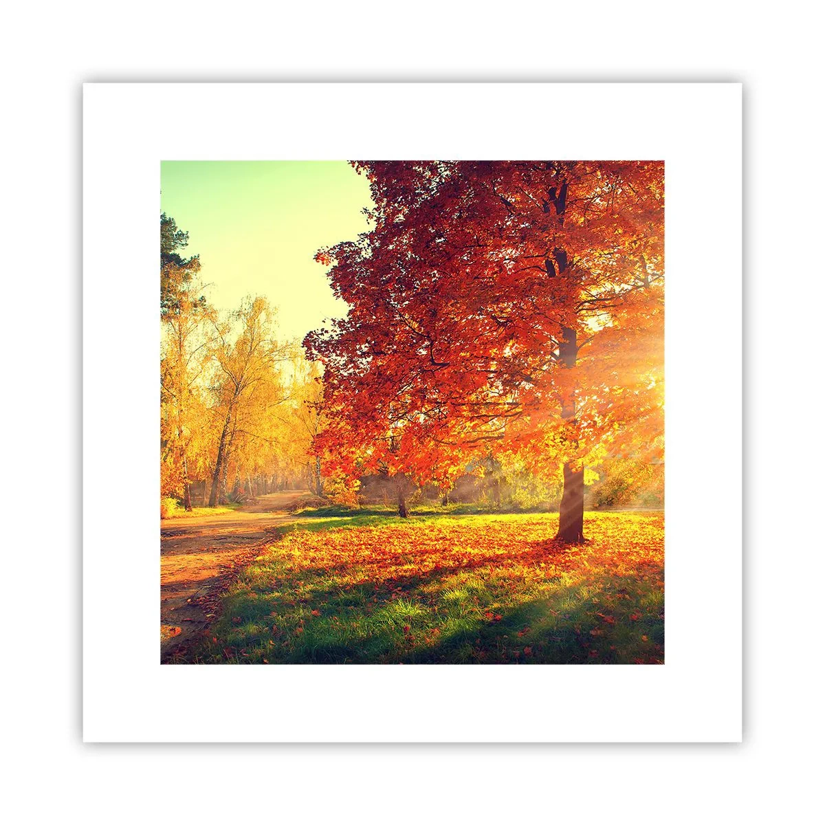 Plakát - Rudé je krásné - 30x30 cm