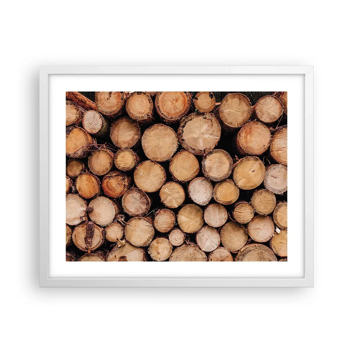 Plakát v bílém rámu - Nový začátek - 50x40 cm