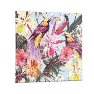 Obraz na skle - Plátky a pírka - 70x70 cm