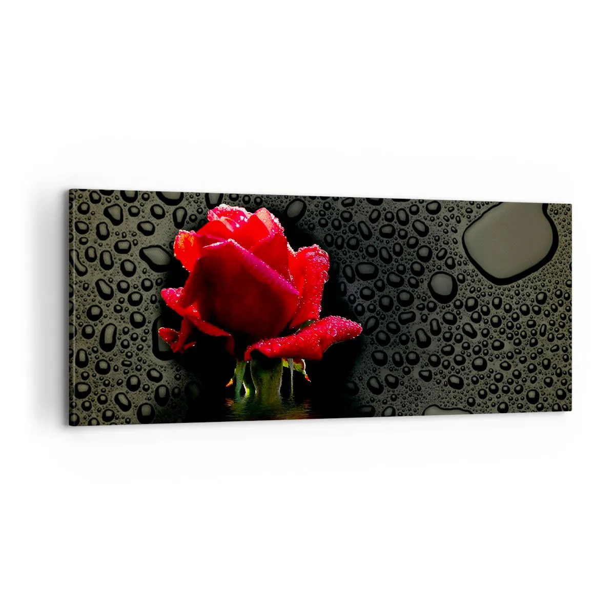 Obraz na plátně - Červené a černé - 100x40 cm