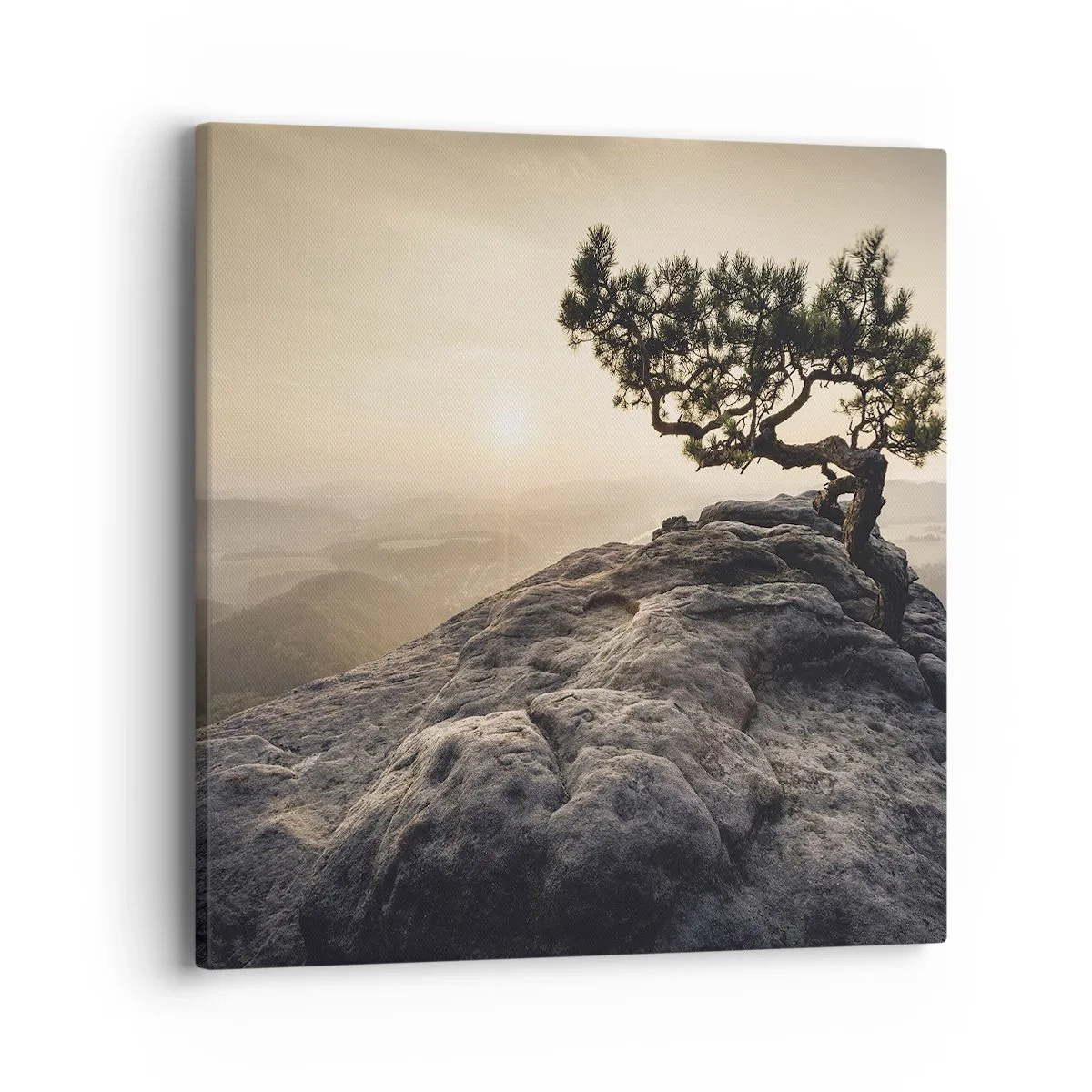 Obraz na plátně - Život vždy vítězí - 40x40 cm