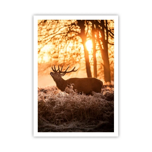 Plakát - Sen myslivce - 70x100 cm