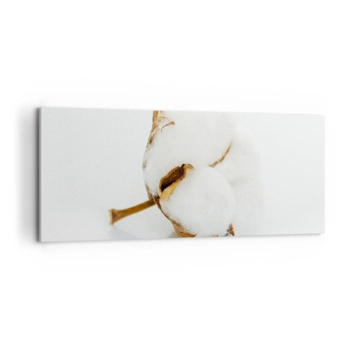 Obraz na plátně - Měkká od přírody - 120x50 cm