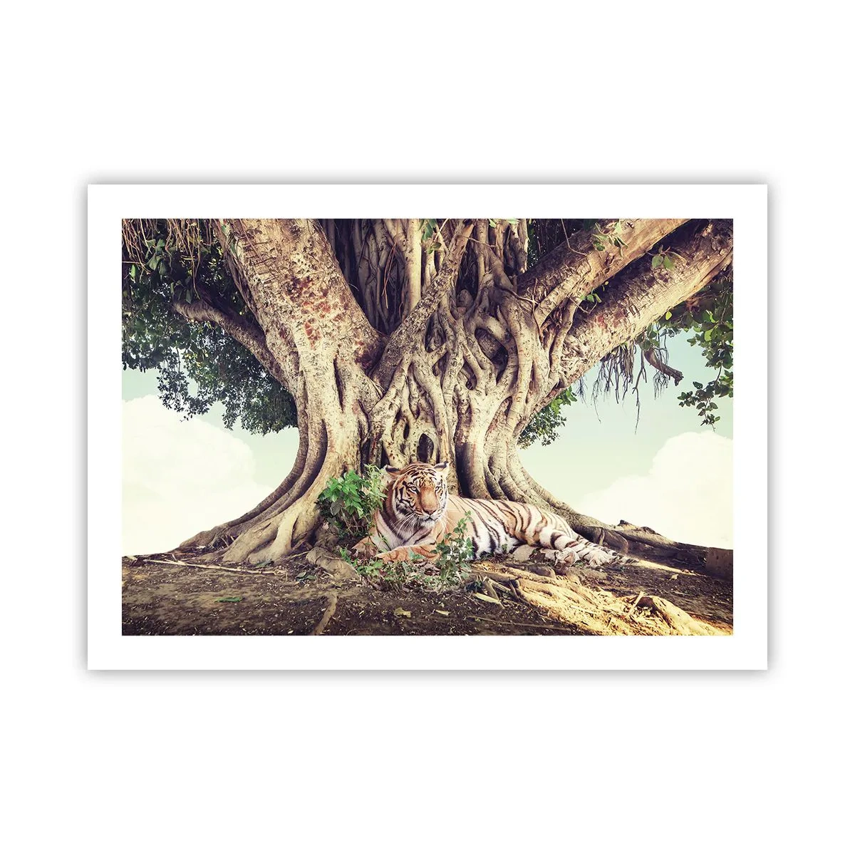 Plakát - Pohled z knihy Mojžíšovy - 70x50 cm