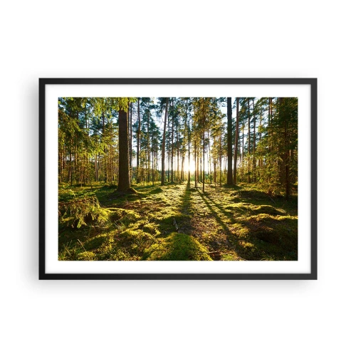 Plakát v černém rámu - …Za sedmero lesy - 70x50 cm
