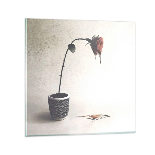 Obraz na skle - Rosa dolorosa - 60x60 cm