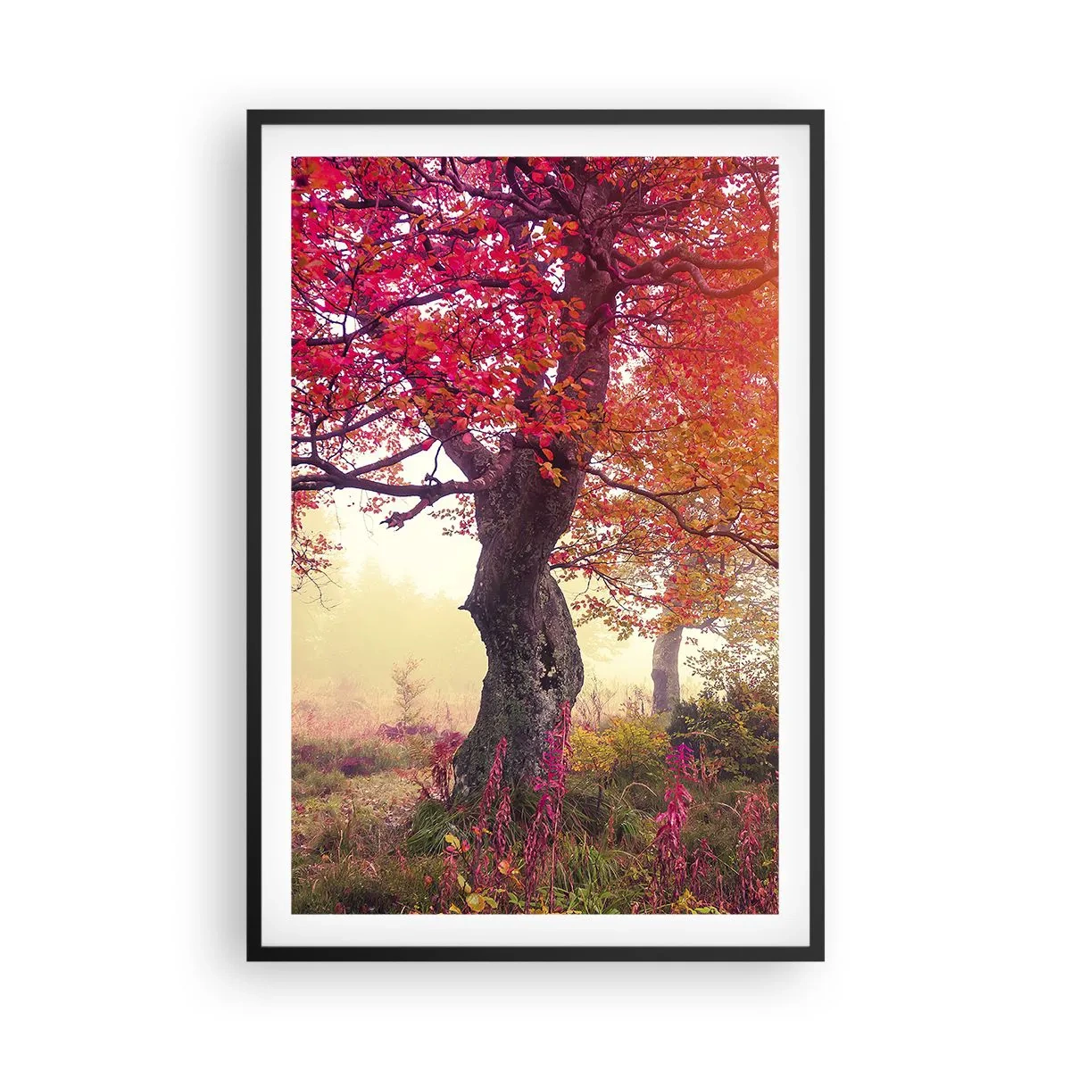 Plakát v černém rámu - Šílenství rozkvětu - 61x91 cm