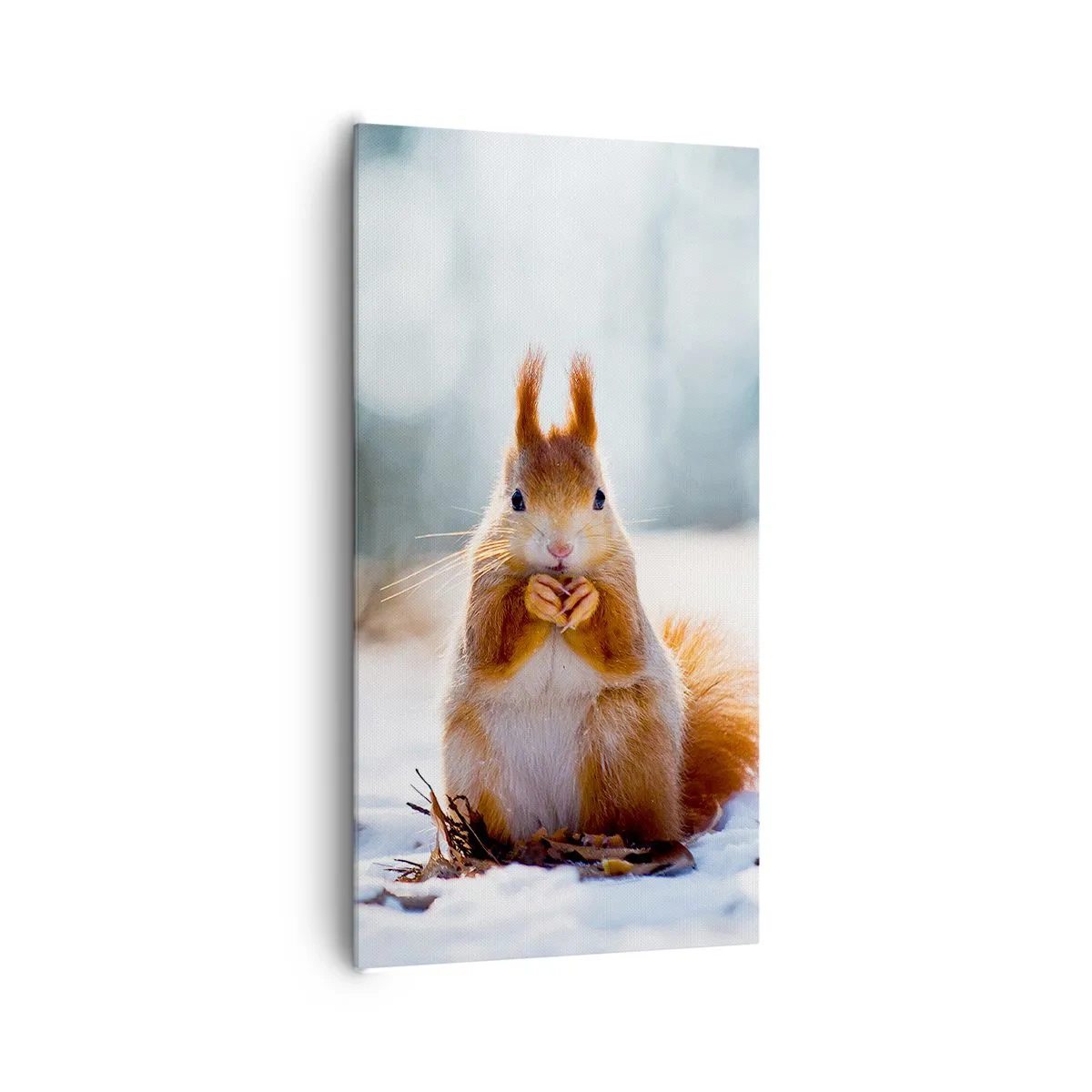 Obraz na plátně - Co se tak díváš? - 65x120 cm