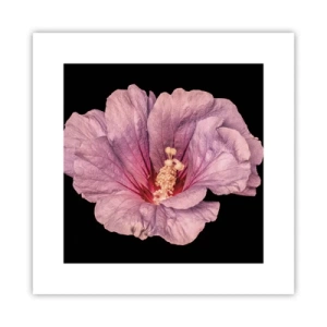 Plakát - Přímo do srdce - 30x30 cm