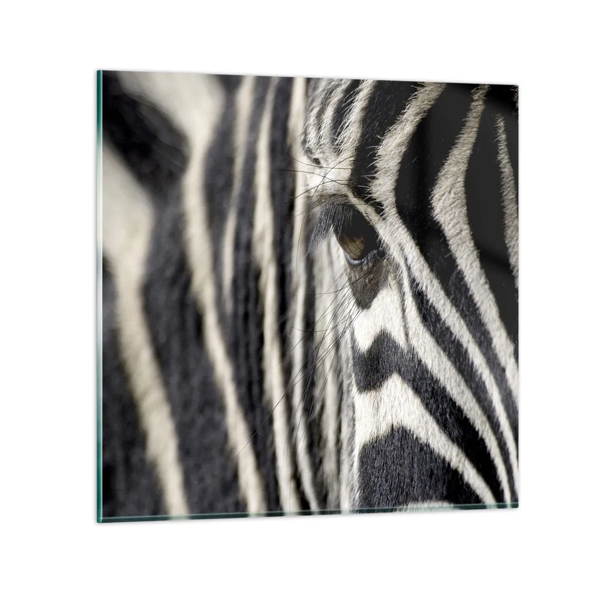 Obraz na skle - Portrét s pruhy - 60x60 cm