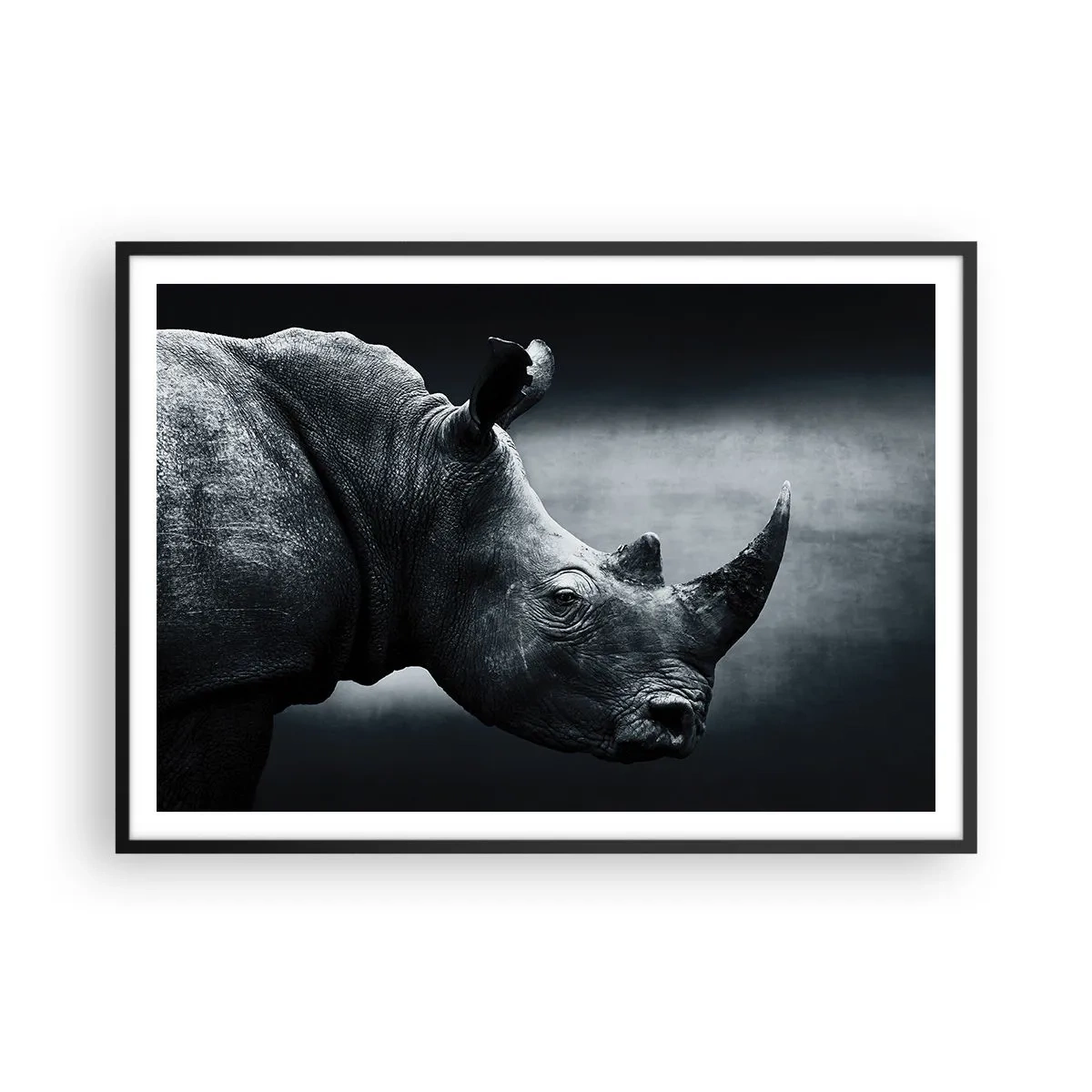 Plakát v černém rámu - Pravý profil - 100x70 cm