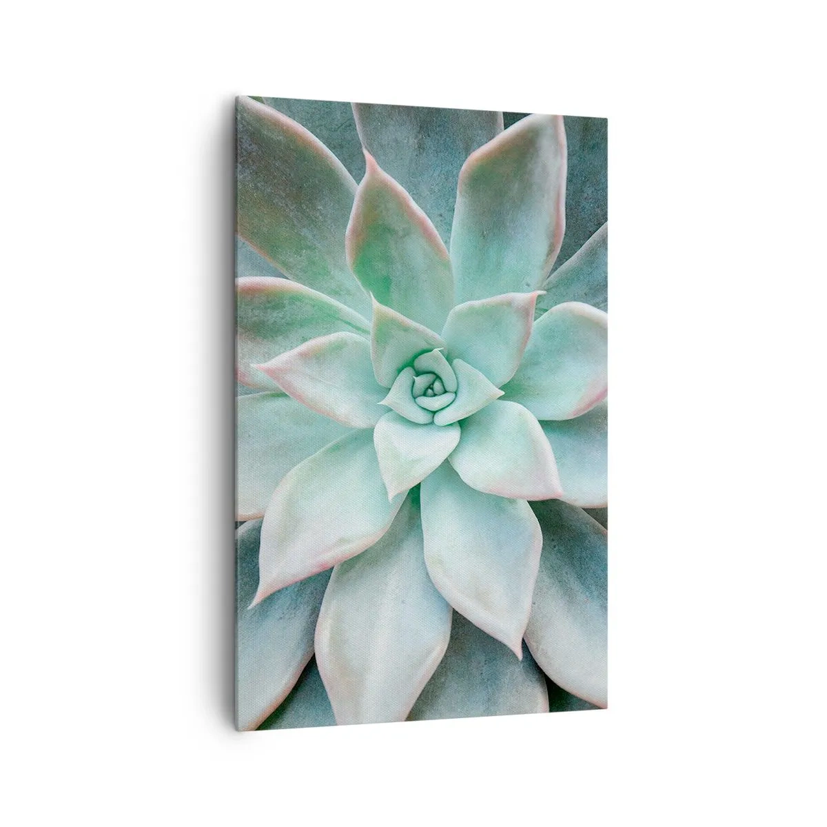 Obraz na plátně - Srdce pouště - 80x120 cm