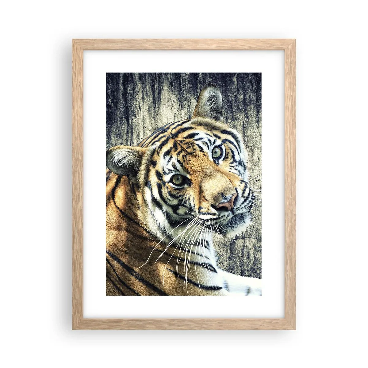Plakát v rámu světlý dub - Portrét v pramenech světla - 30x40 cm