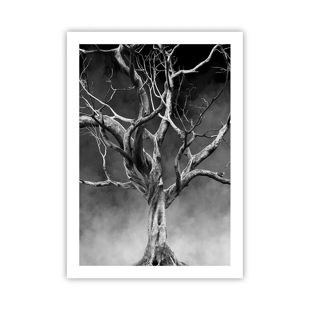 Plakát - Původní a svaté - 50x70 cm