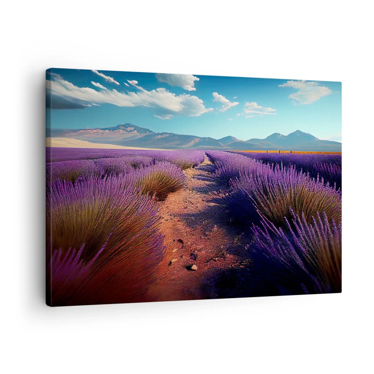 Obraz na plátně - Levandulové pole s výhledem na hory a modrou oblohu - 70x50cm - Voňavá pole - Moderní nástěnná dekorace do obývacího pokoje a ložnice ARTTOR