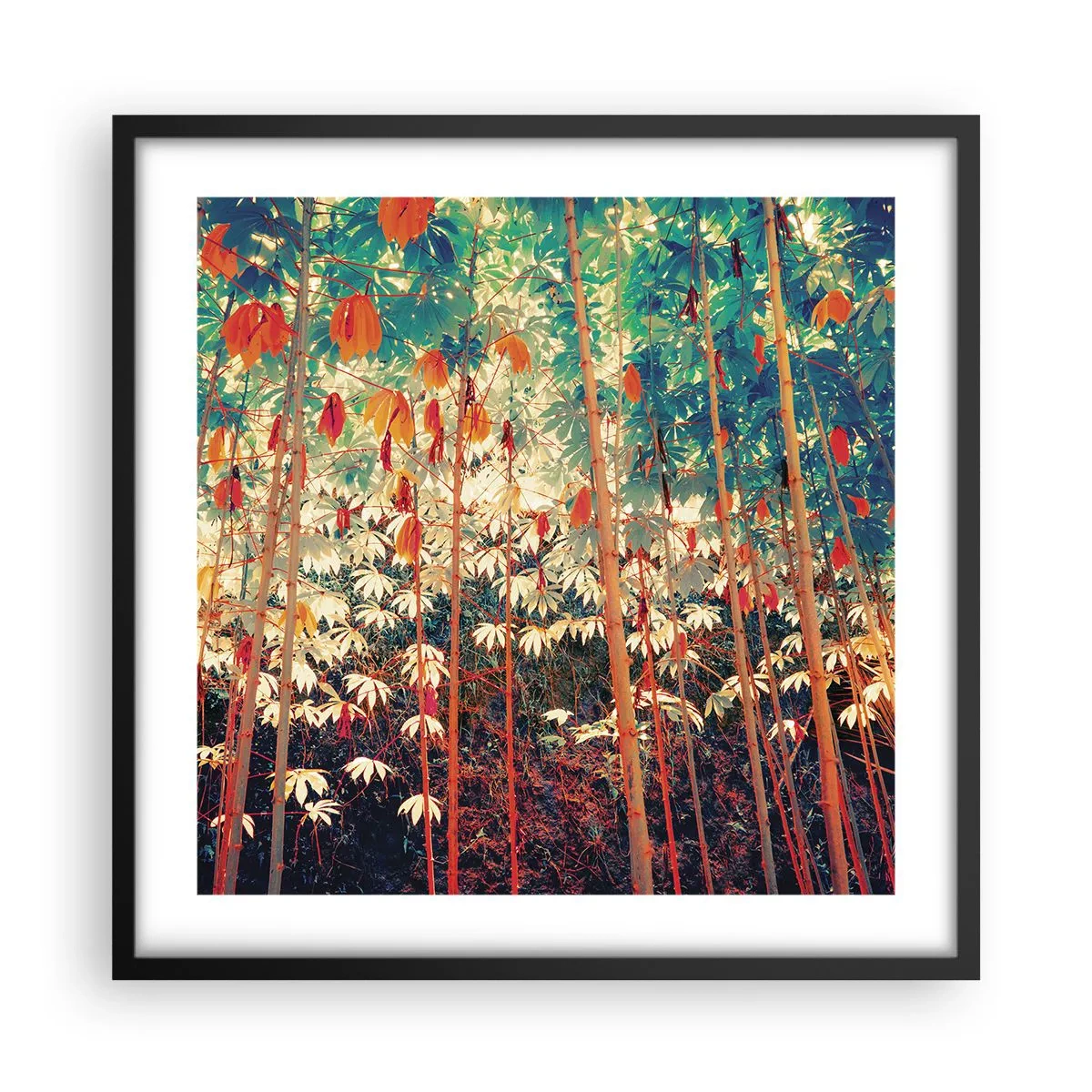 Plakát v černém rámu - Tajný život listů - 50x50 cm