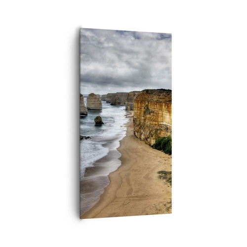 Obraz na plátně - Drsná krása - 65x120 cm