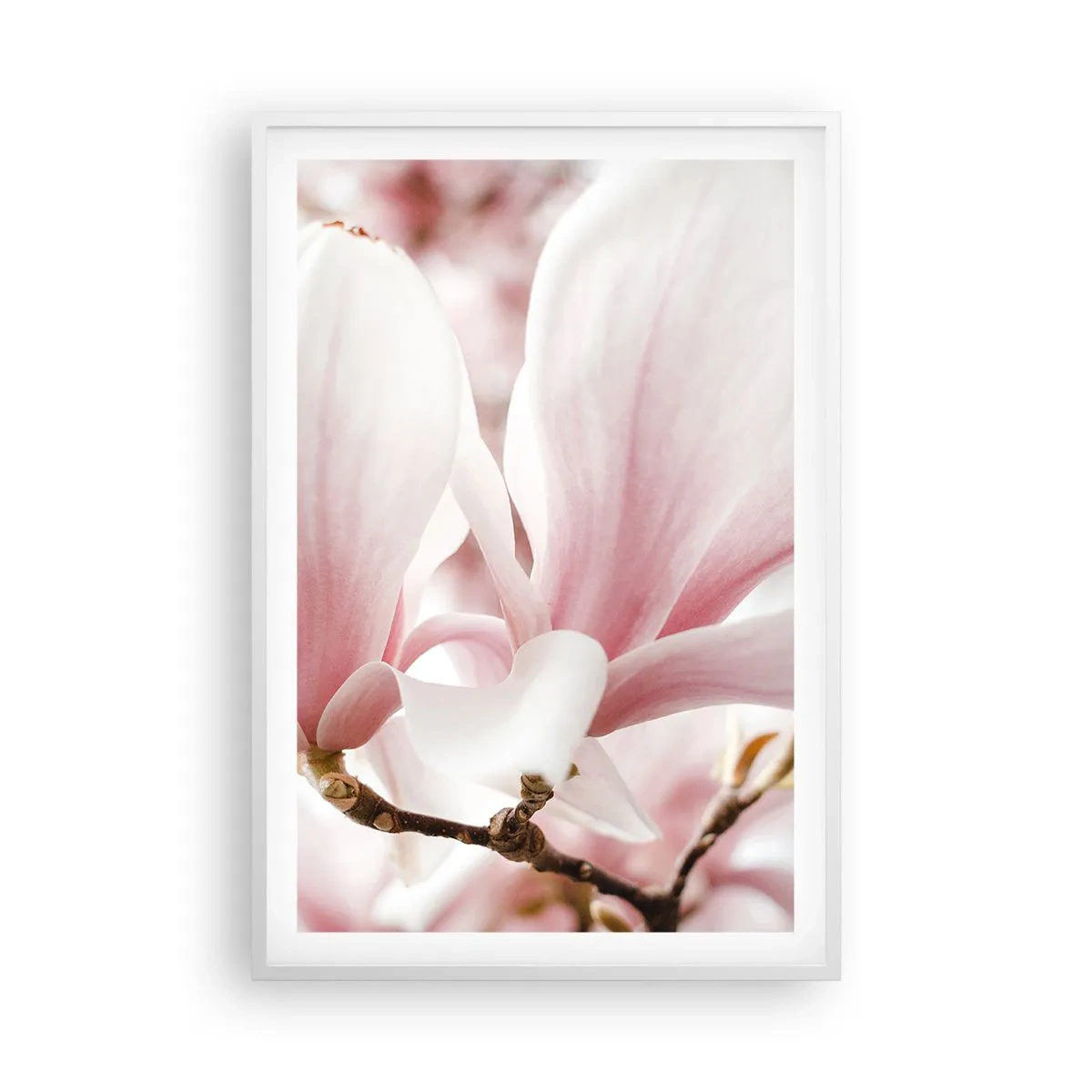 Plakát v bílém rámu - Nesmírnost něžnosti - 61x91 cm
