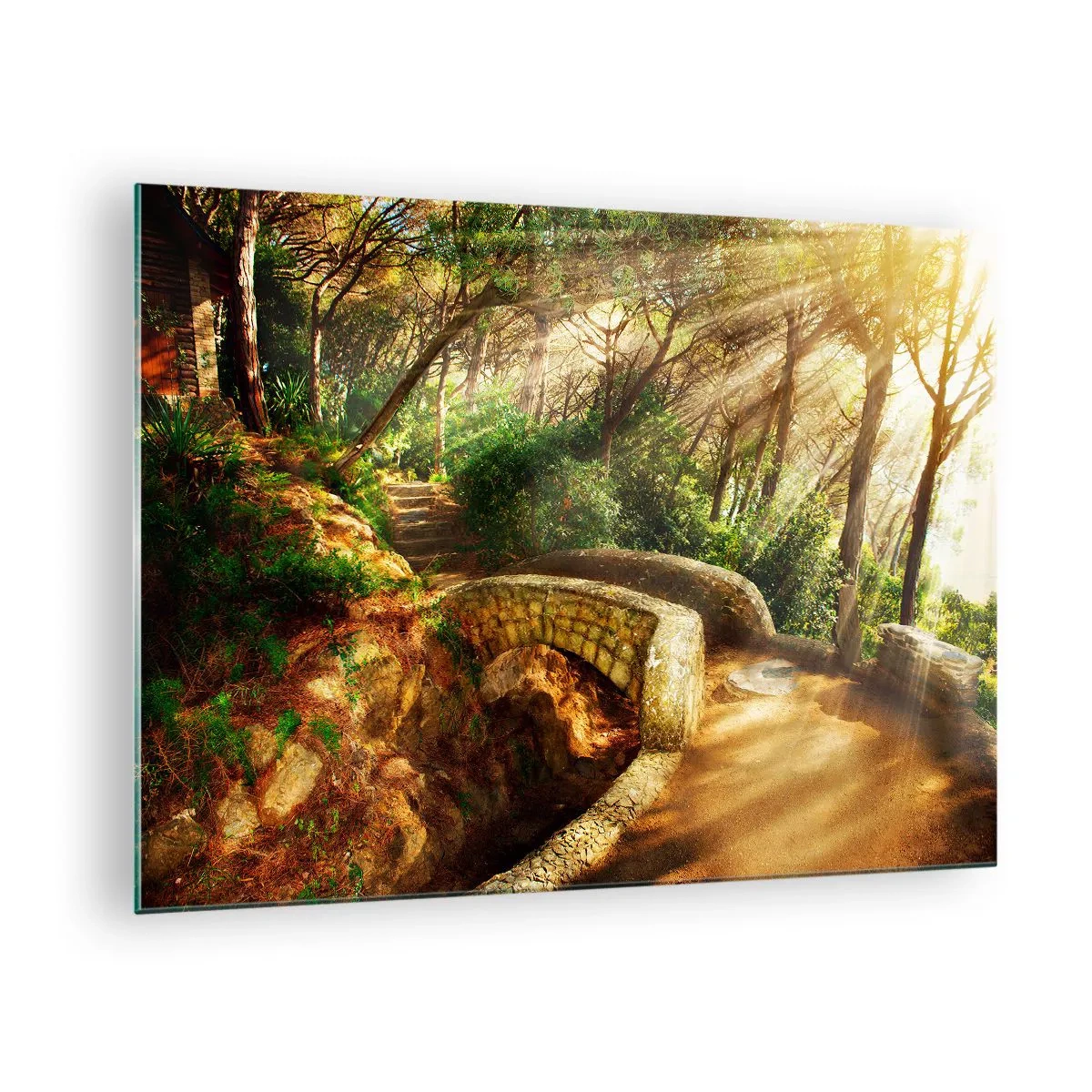 Obraz na skle - Sluneční paprsky osvětlující lesní most a cestu - 70x50cm - Přímo z můstku v pohádkovém lese - Moderní nástěnná dekorace do obývacího pokoje a ložnice ARTTOR