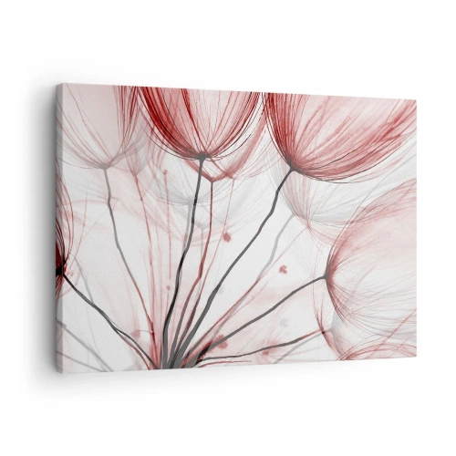 Obraz na plátně - Jemné květiny v odstínech červené na světlém pozadí - 70x50cm - Před odletem - Moderní nástěnná dekorace do obývacího pokoje a ložnice ARTTOR