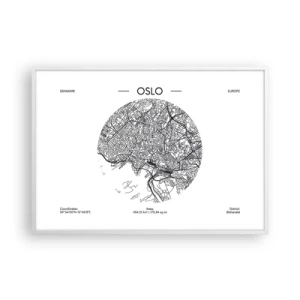Plakát v bílém rámu - Anatomie Osla - 100x70 cm
