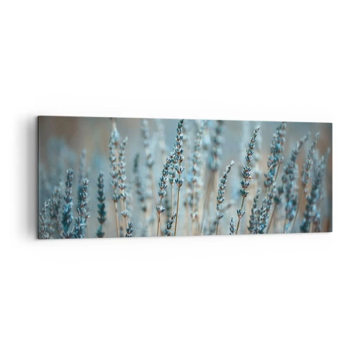 Obraz na plátně - Voňavý lán - 140x50 cm