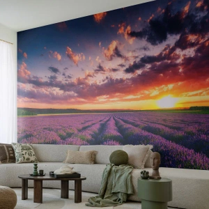 Fototapeta Premium Sand - Levandulový svět - Krajina, Levandulové pole, Levandule - 100x70 cm