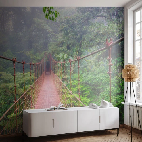 Fototapeta Standard Eco - Zavěšený nad korunami - Krajina, Džungle, Kostarika - 300x210 cm