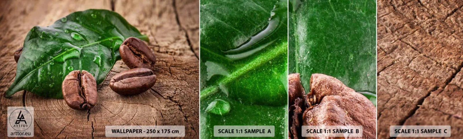 Fototapeta Vzorek Standard Eco - Nejskutečnější a černá - Gastronomie, Káva, Kávové zrno - 100x30 cm