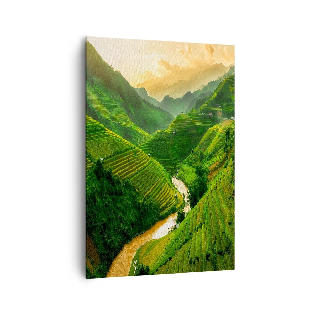 Obraz na plátně - Vietnamské údolí - 70x100 cm