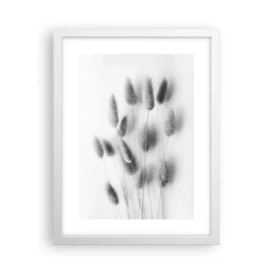 Plakát v bílém rámu - Její načechranost tráva - 30x40 cm