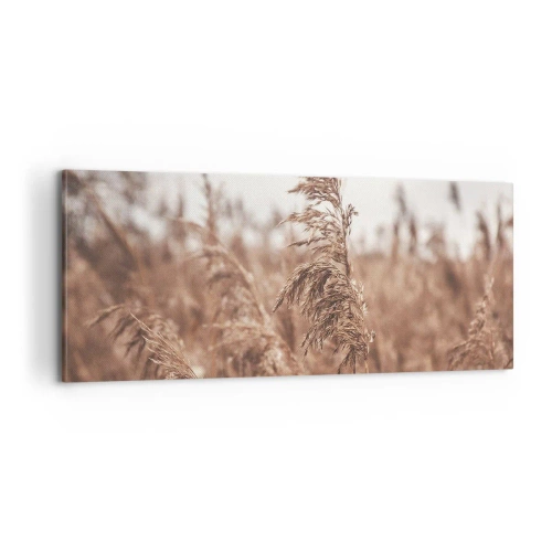 Obraz na plátně - Na polích už je podzim - 100x40 cm