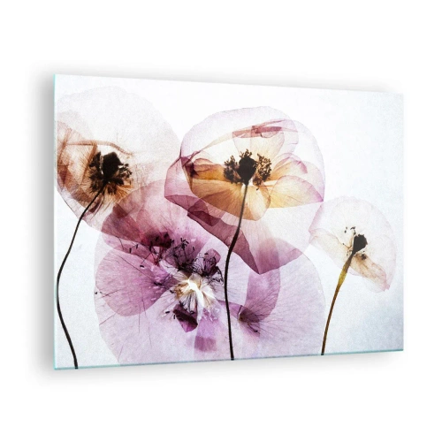 Obraz na skle - Jemné květiny v průhledných pastelových barvách na světlém pozadí - 70x50cm - Průhledné těla květin - Moderní nástěnná dekorace do obývacího pokoje a ložnice ARTTOR