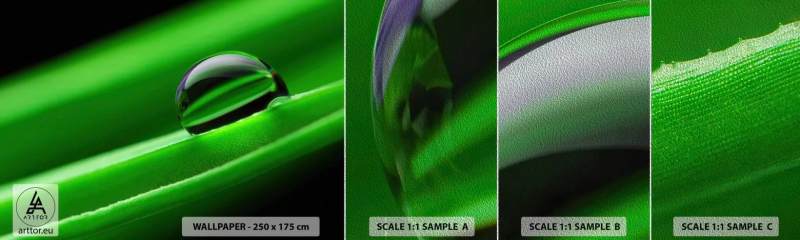 Vzor Fototapety Premium Sand - Život z blízka - Abstrakce, Grafika, Kapka vody - 100x30 cm