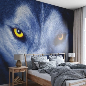 Fototapeta Samolepicí Deluxe Sticker - Fascinující pohled - Zvířata, Vlk, Oči - 400x280 cm