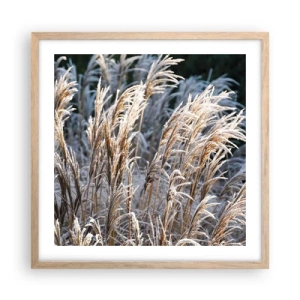 Plakát v rámu světlý dub - Mrazem pokryté - 50x50 cm